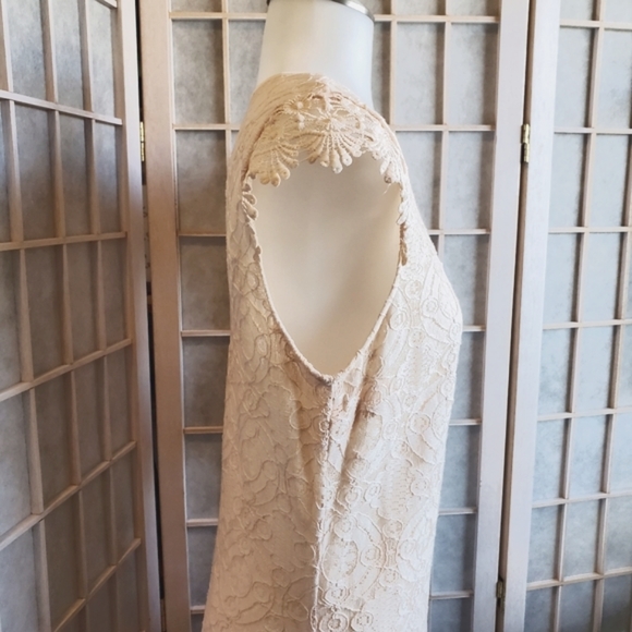 Sequin Hearts Peach Lace Dress - Picture 6 of 14